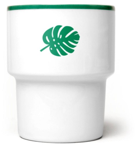 Monstera